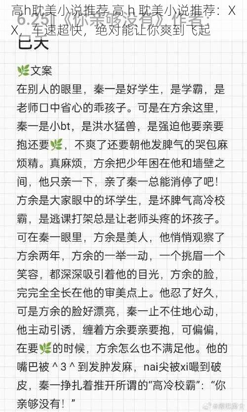 高h耽美小说推荐 高 h 耽美小说推荐：XX，车速超快，绝对能让你爽到飞起