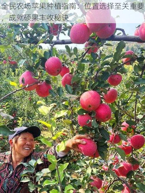 全民农场苹果种植指南：位置选择至关重要，成就硕果丰收秘诀