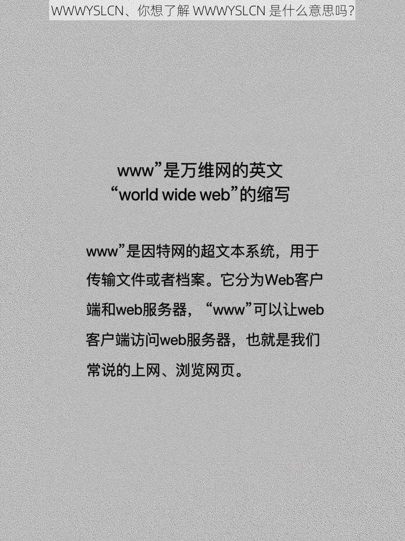 WWWYSLCN、你想了解 WWWYSLCN 是什么意思吗？