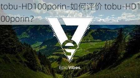 tobu-HD100porin-如何评价 tobu-HD100porin？