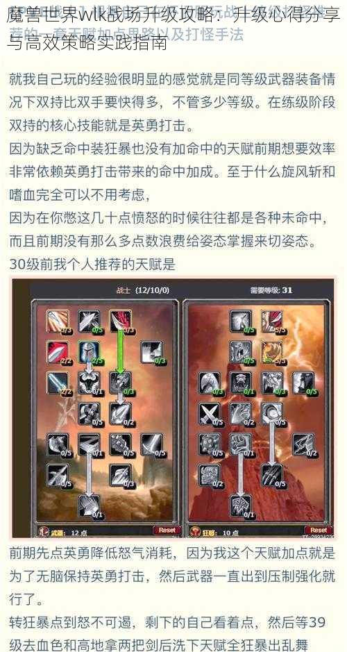 魔兽世界wlk战场升级攻略：升级心得分享与高效策略实践指南