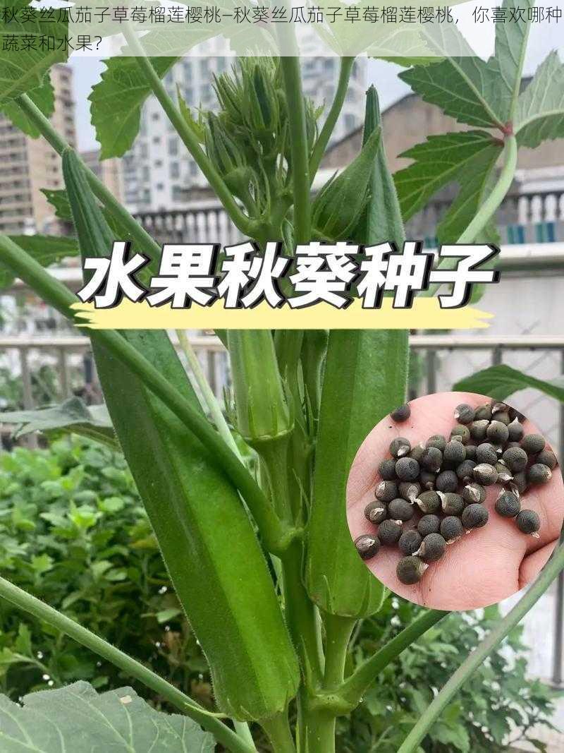 秋葵丝瓜茄子草莓榴莲樱桃—秋葵丝瓜茄子草莓榴莲樱桃，你喜欢哪种蔬菜和水果？