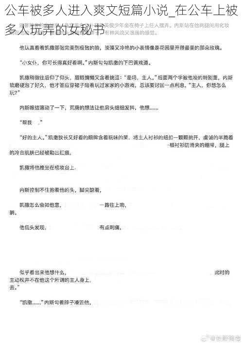 公车被多人进入爽文短篇小说_在公车上被多人玩弄的女秘书