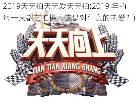 2019天天拍天天爱天天拍(2019 年的每一天都在拍摄，这是对什么的热爱？)