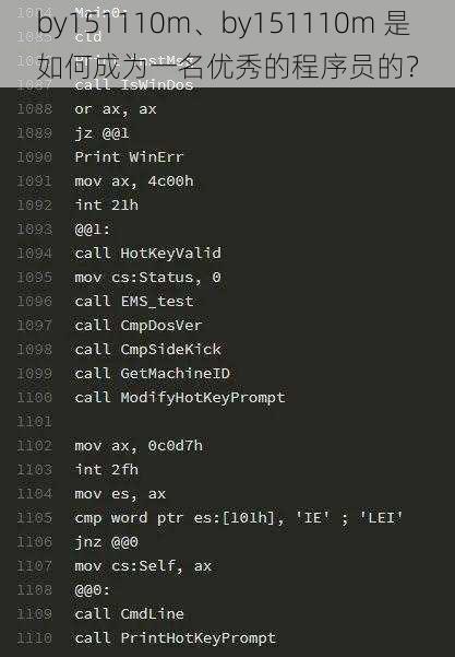 by151110m、by151110m 是如何成为一名优秀的程序员的？