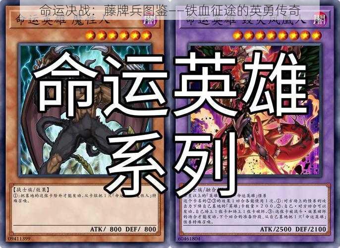 命运决战：藤牌兵图鉴——铁血征途的英勇传奇