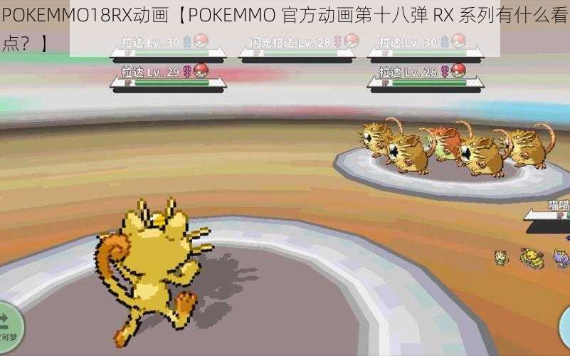 POKEMMO18RX动画【POKEMMO 官方动画第十八弹 RX 系列有什么看点？】