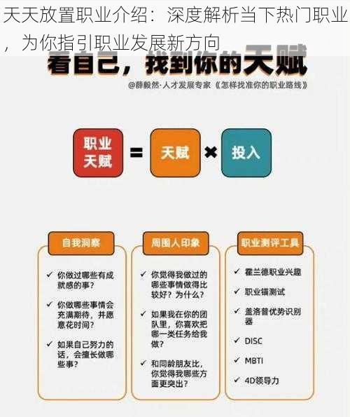 天天放置职业介绍：深度解析当下热门职业，为你指引职业发展新方向