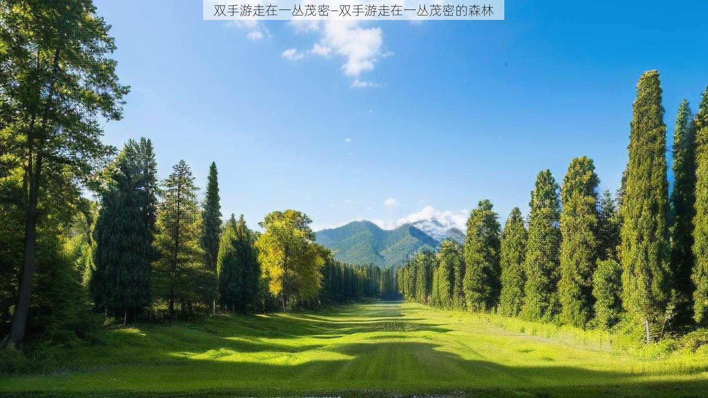 双手游走在一丛茂密—双手游走在一丛茂密的森林