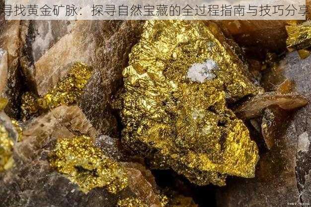 寻找黄金矿脉：探寻自然宝藏的全过程指南与技巧分享