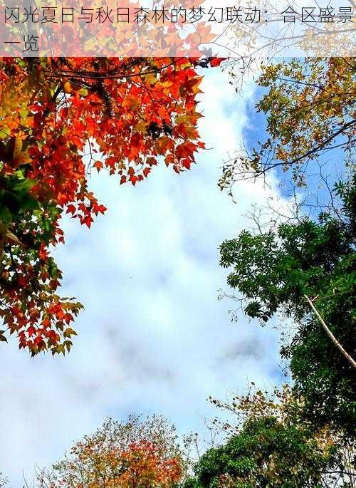 闪光夏日与秋日森林的梦幻联动：合区盛景一览