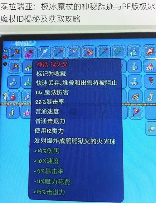 泰拉瑞亚：极冰魔杖的神秘踪迹与PE版极冰魔杖ID揭秘及获取攻略