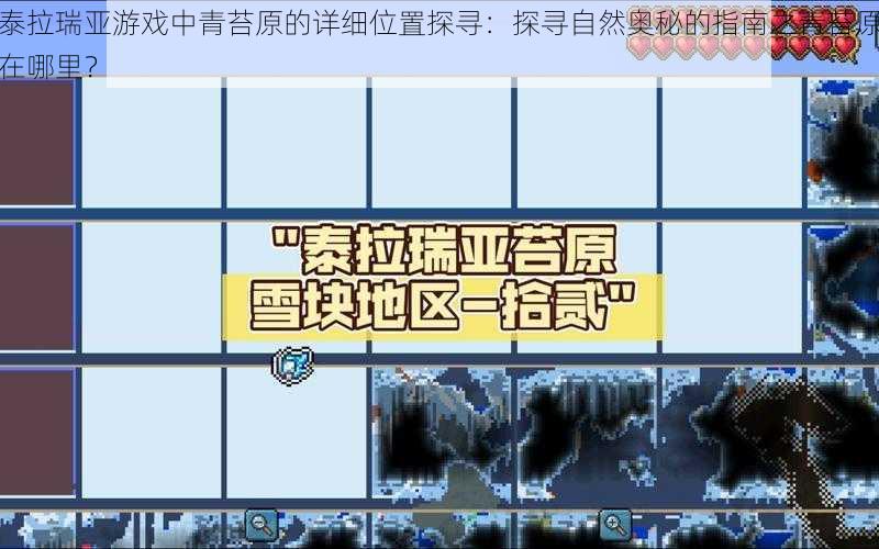 泰拉瑞亚游戏中青苔原的详细位置探寻：探寻自然奥秘的指南之青苔原在哪里？