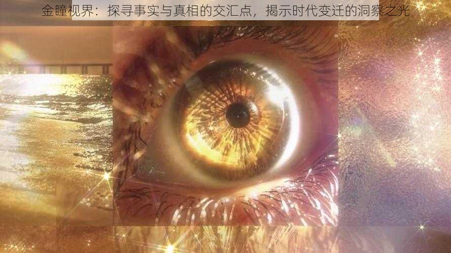 金瞳视界：探寻事实与真相的交汇点，揭示时代变迁的洞察之光