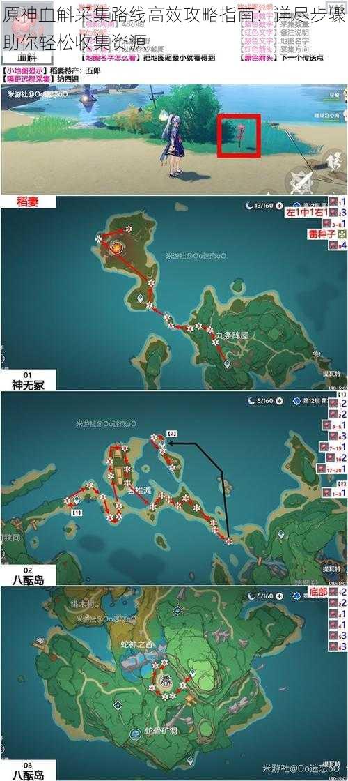 原神血斛采集路线高效攻略指南：详尽步骤助你轻松收集资源